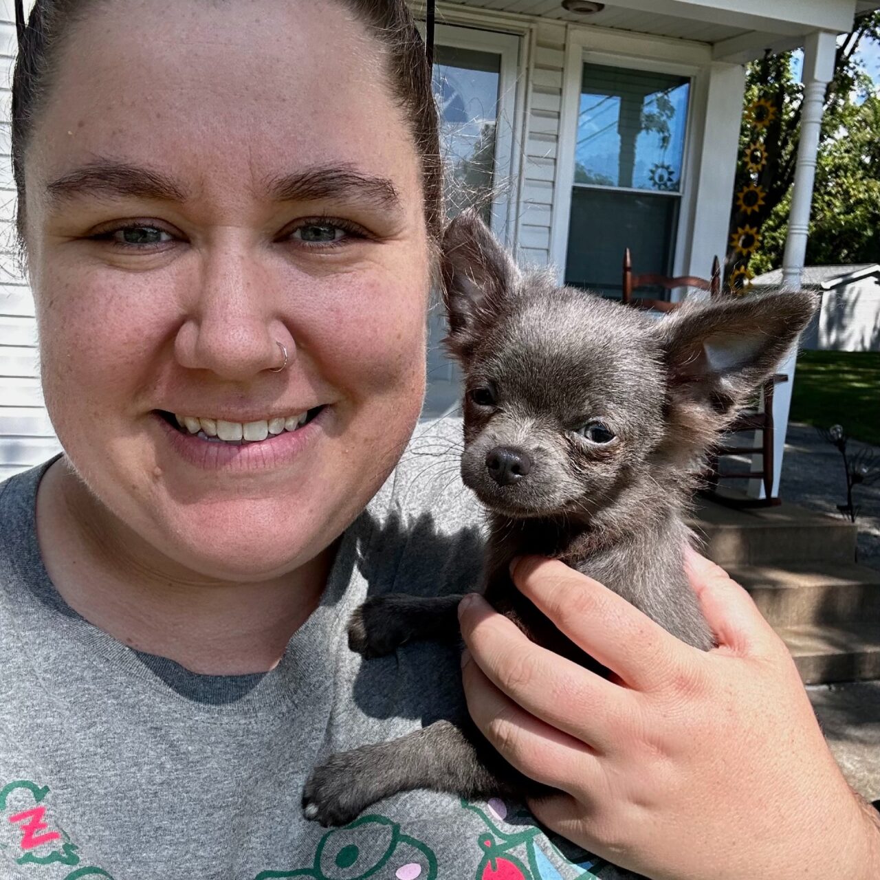 Veterinarian in Collinsville, IL Village Vet Hospital